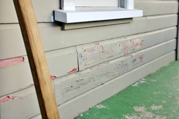 Best Siding Painting and Refinishing  in Park Ridge, NJ