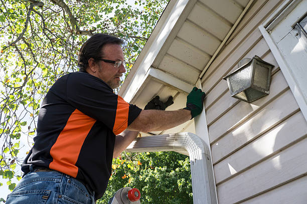 Best Insulated Siding Installation  in Park Ridge, NJ